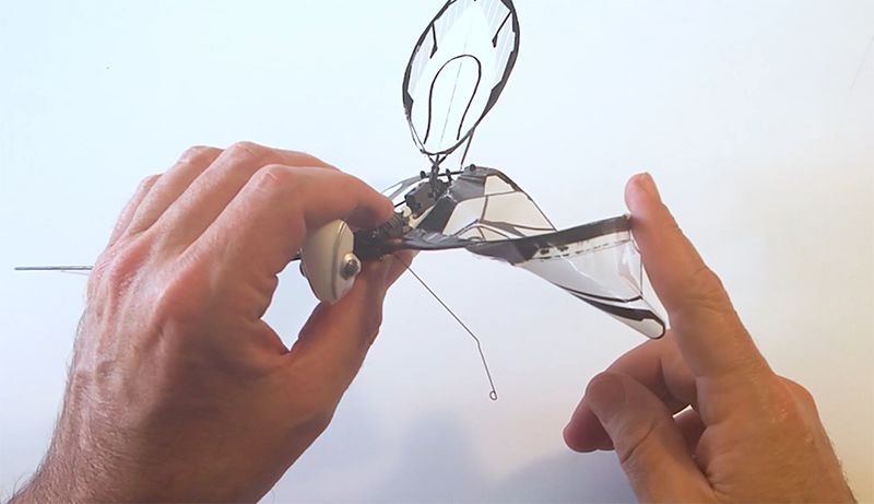 仿生鸟扑翼无人机,法国遥控仿生昆虫