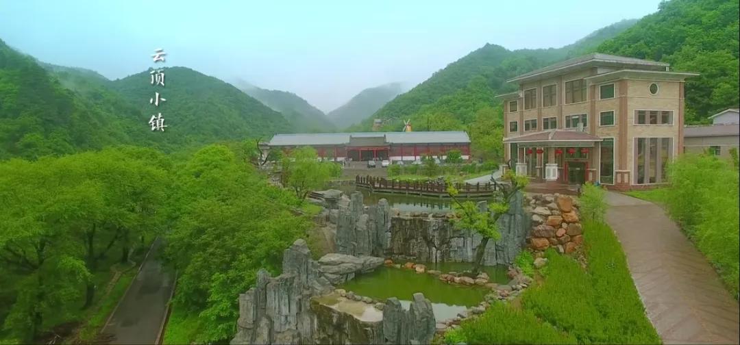 古县千年牡丹花视频,山西临汾古县看千年牡丹