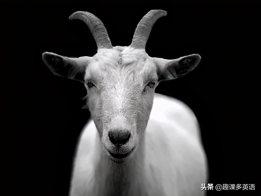 getonesgoat可不是“得到某人的羊”