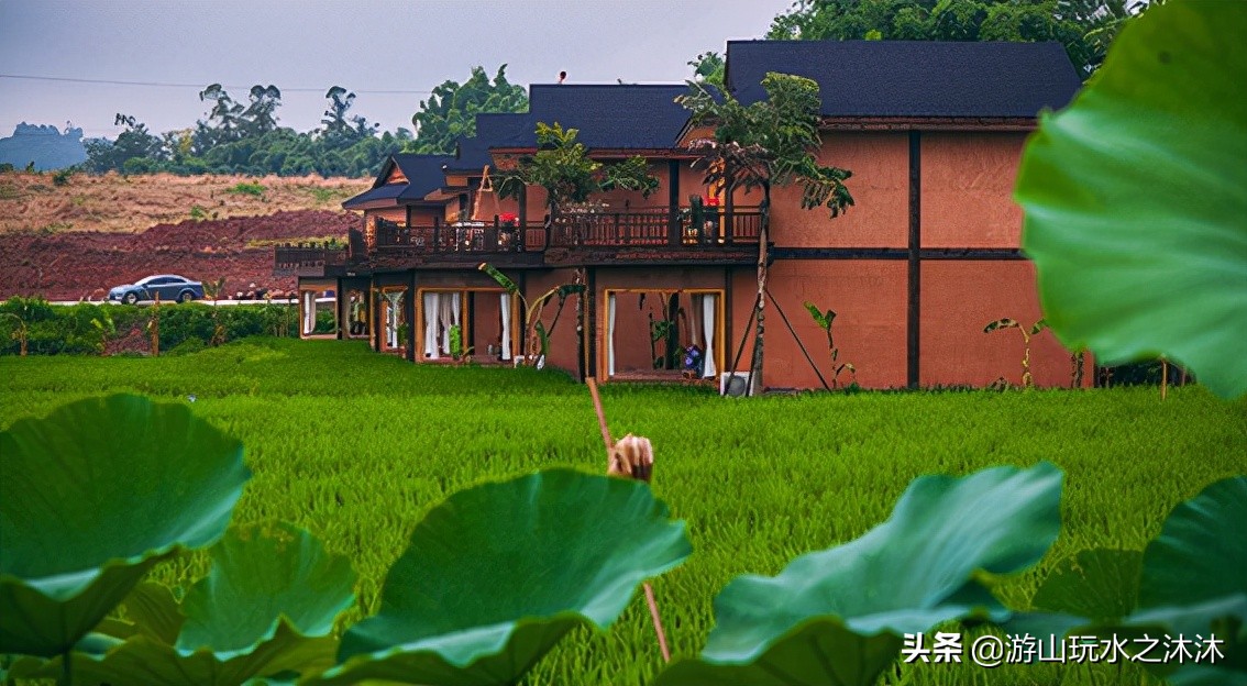 重庆小众景点旅游推荐,重庆南山小众打卡地