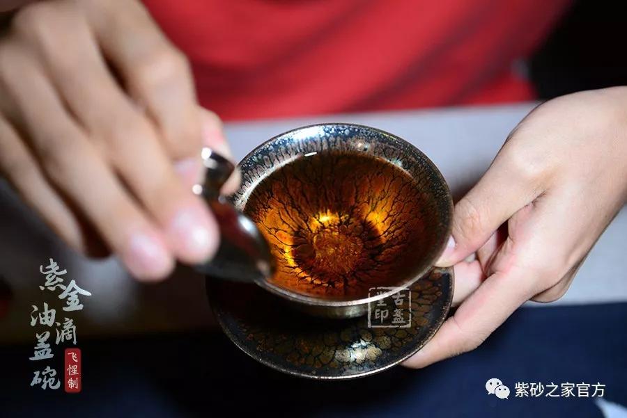 生普和熟普哪个更有收藏价值,老茶生普哪个产区收藏最好