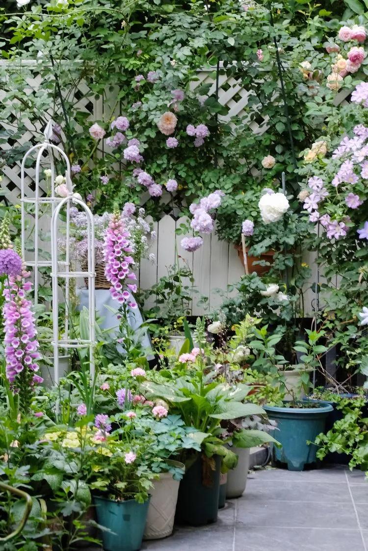 三年前买了套绿地110平三房130万,三年前耗资百万打造小院出售