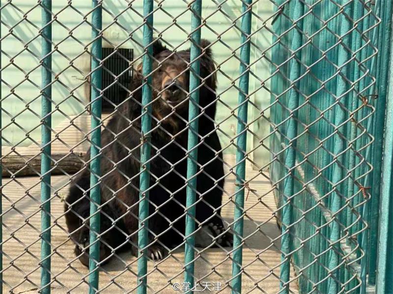 滨海生态城动物园,塘沽5块钱动物园