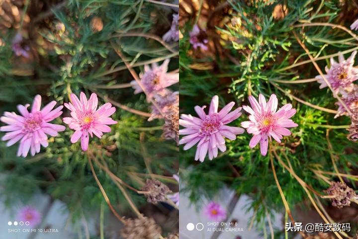 小米10年之作,小米十周年全篇