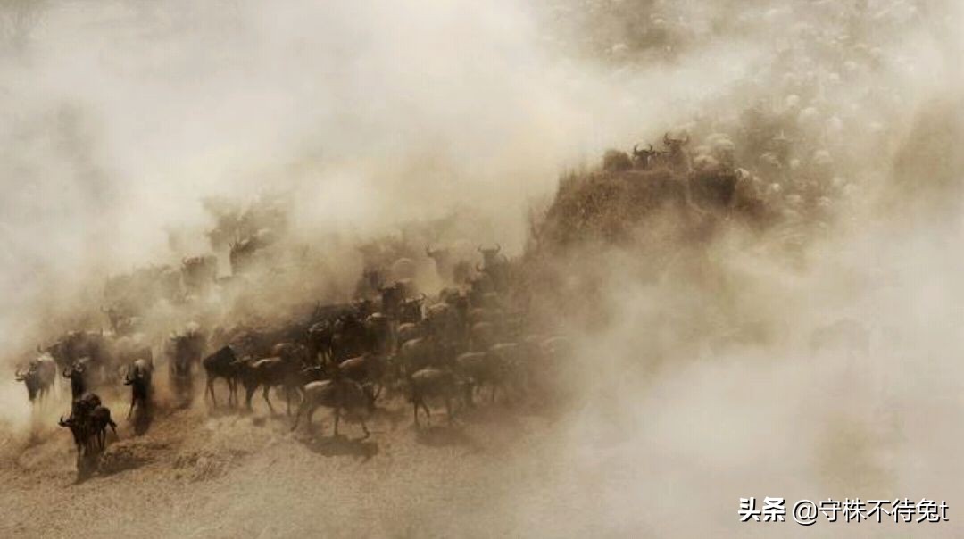 10个冷知识全集,睡觉时膝盖下垫枕头怎么回事