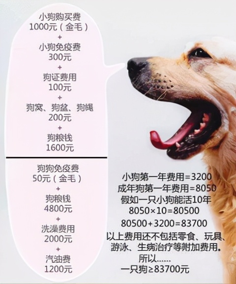 陆喜梅：宠物看病动辄近千元，宠物医院为什么这么会赚钱？