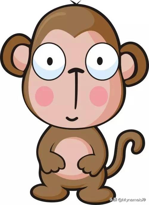 属相天命,十二属相的解析与分析