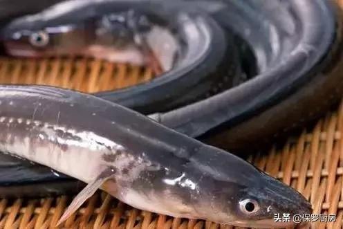 海鲜大荟萃,常见贝壳类海鲜