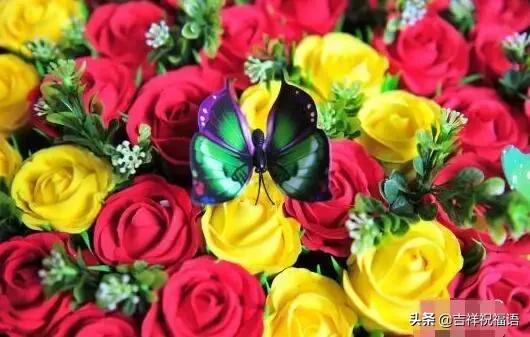 情人节送你永生花,情人节送你一束玫瑰花