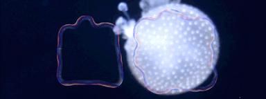 广美视觉传达毕业含金量高吗,广美专升本视觉传达设计考什么