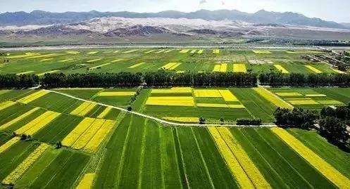 土壤对健康有害吗,土壤的危害与改善