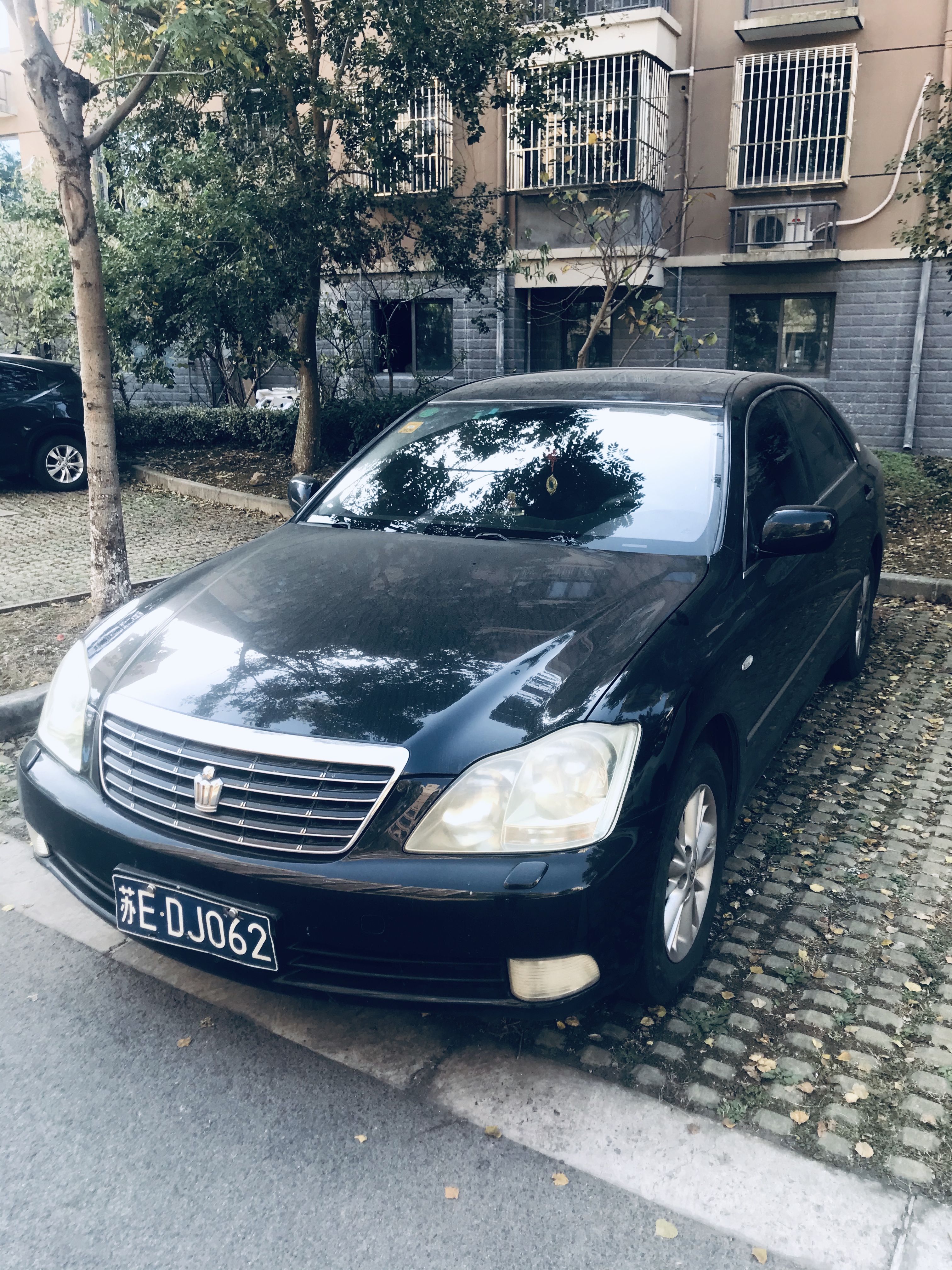 意外收获巨无霸,意外收获超级加倍名牌