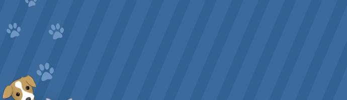 狗狗喜欢咬爪怎么纠正,狗狗用爪子刨地是什么意思