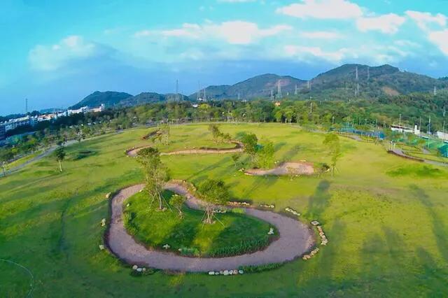 深圳免费公园适合儿童,深圳免费公园哪里最好啊