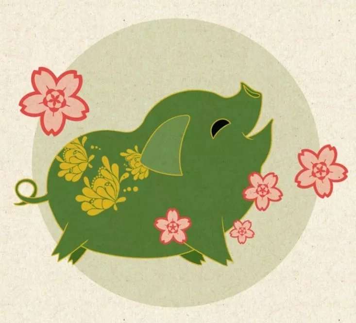 今年猪年的新年是哪一天,猪年几年一个本命年