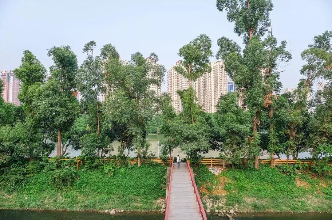 笋岗，不说再见！