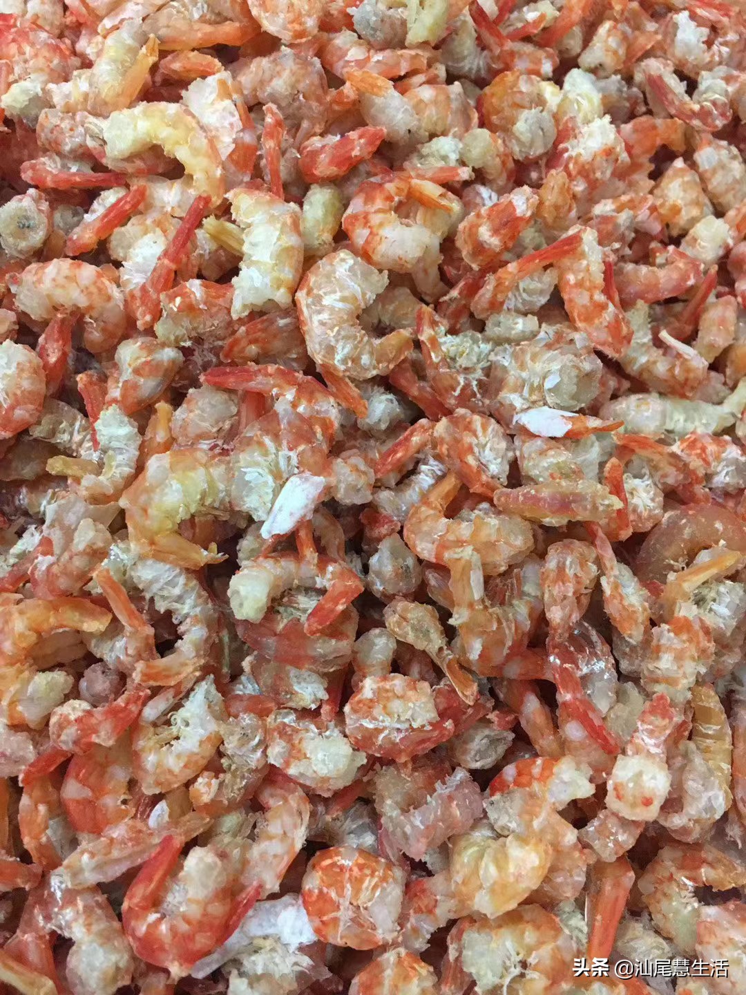 汕尾虾干炒什么好吃,汕尾市区本地人海鲜美食推荐