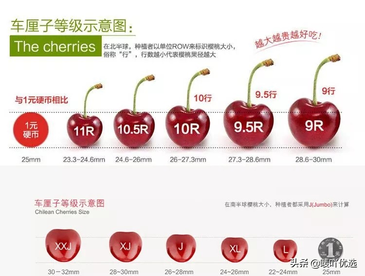 2023智利车厘子最新消息,目前智利车厘子已进入到货高峰期