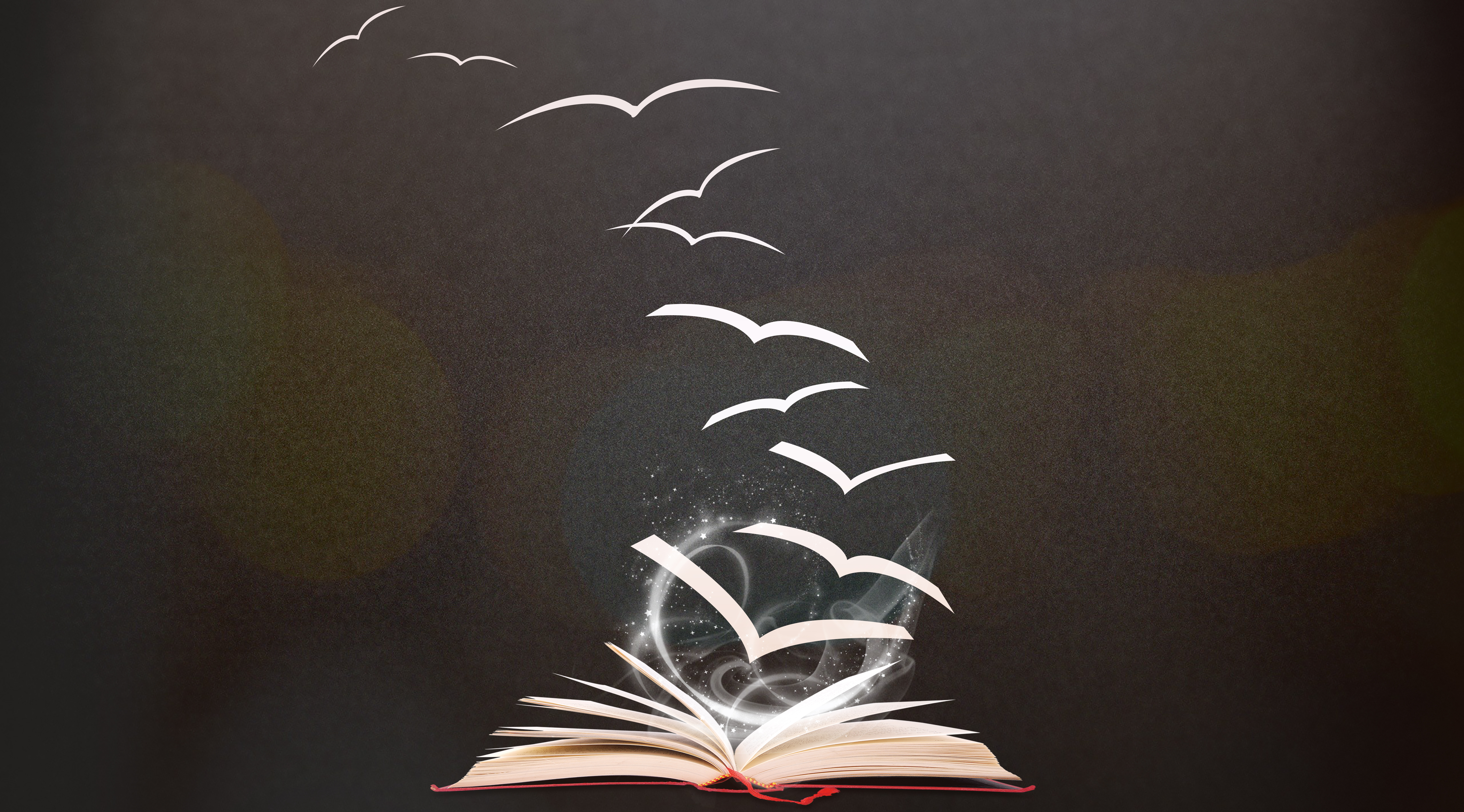 自考、成教、国开是什么，有什么区别？