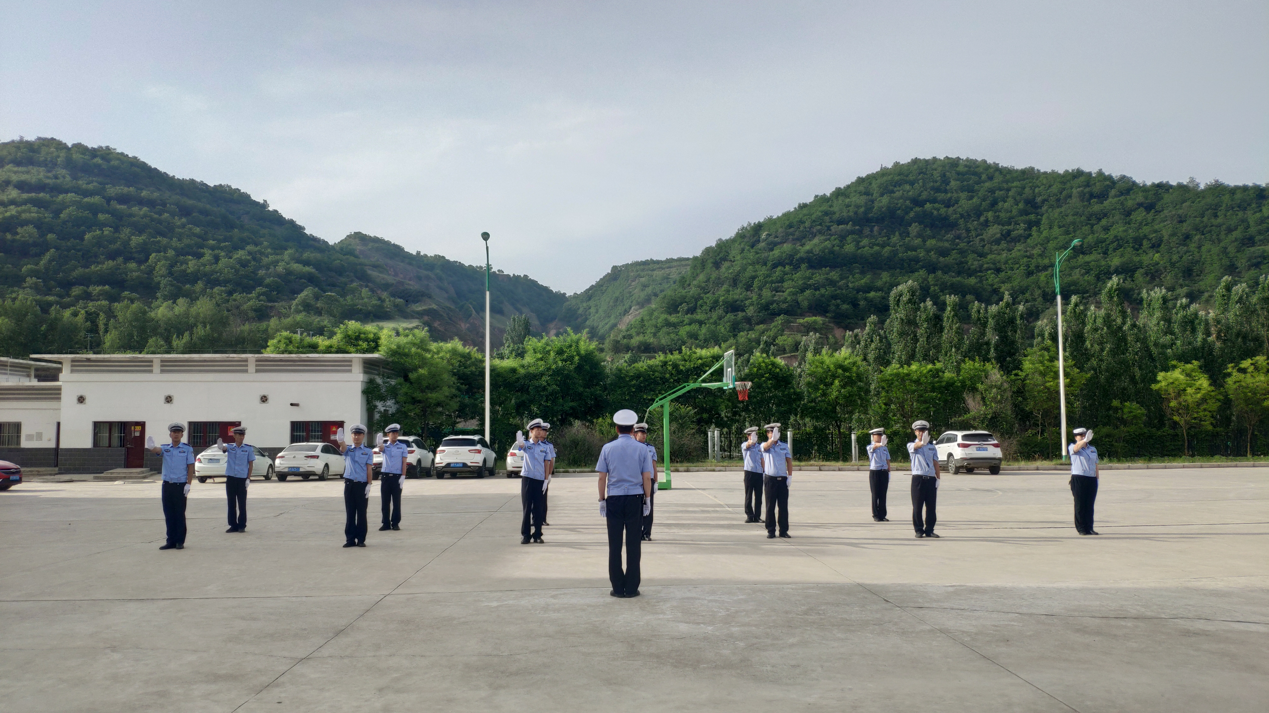 交警组织开展队列暨指挥手势训练,开展交通指挥手势训练的简报