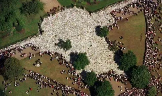 霍金站起来的照片,霍金站着