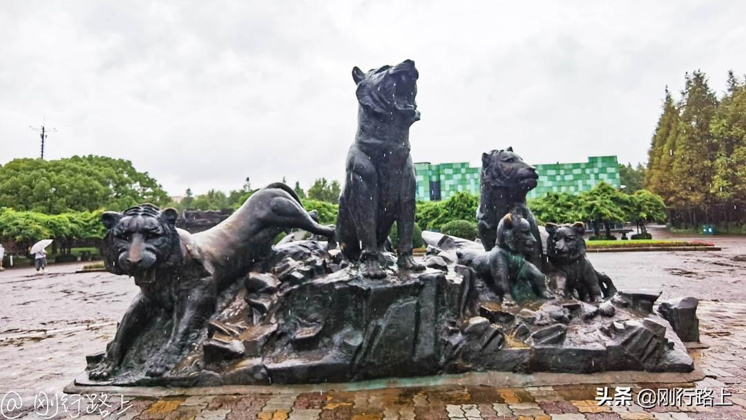 上海野生动物园可以自驾进去吗,从上海野生动物园怎样去上海南站