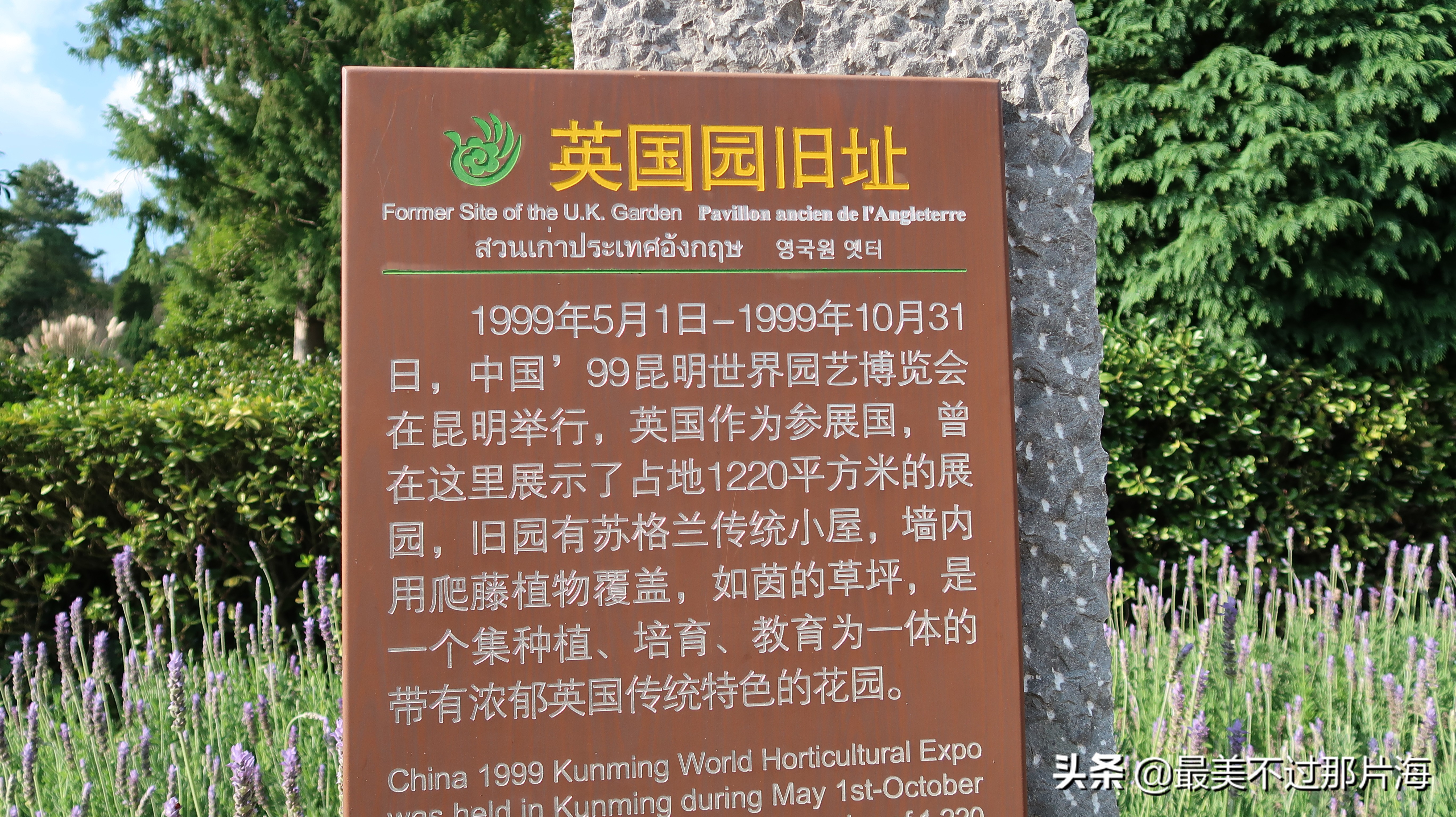 昆明世博园和云南大观园游玩攻略,昆明有个世博园四季如春好地方