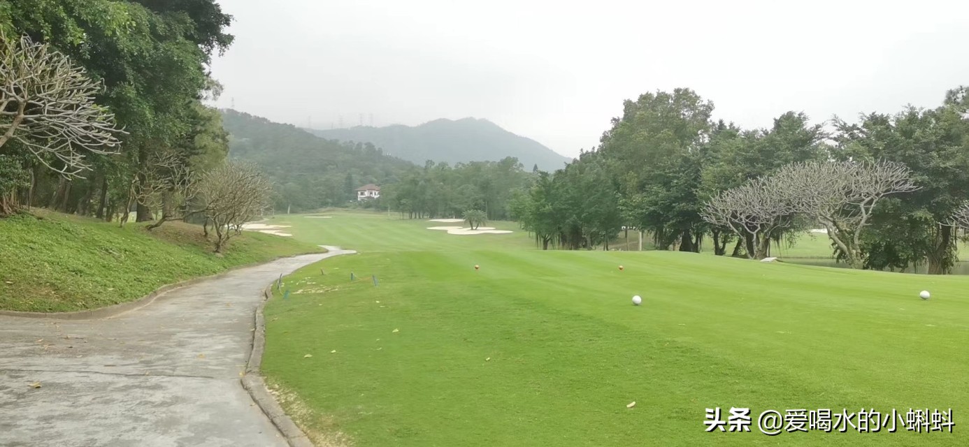 三分钟看懂高尔夫规则的视频,三分钟看懂高尔夫规则室内