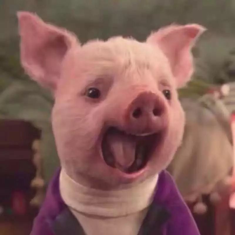 九月分享橱窗好物,九月分享穿搭