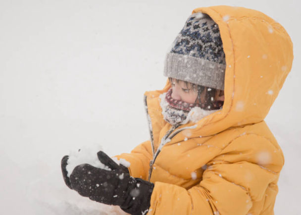 日本北海道有什么特点,日本北海道冬天适合去吗