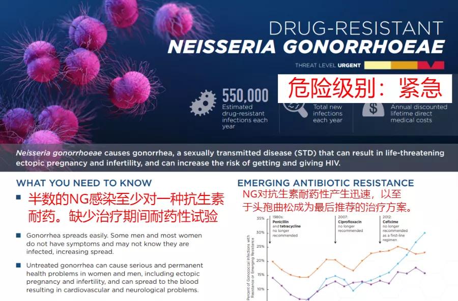 窥一斑而知全貌出自,窥一孔而知全豹