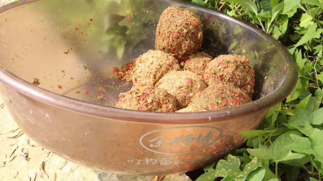 挂钓饵的正常方式简单又实用,挂饵的技巧和方法