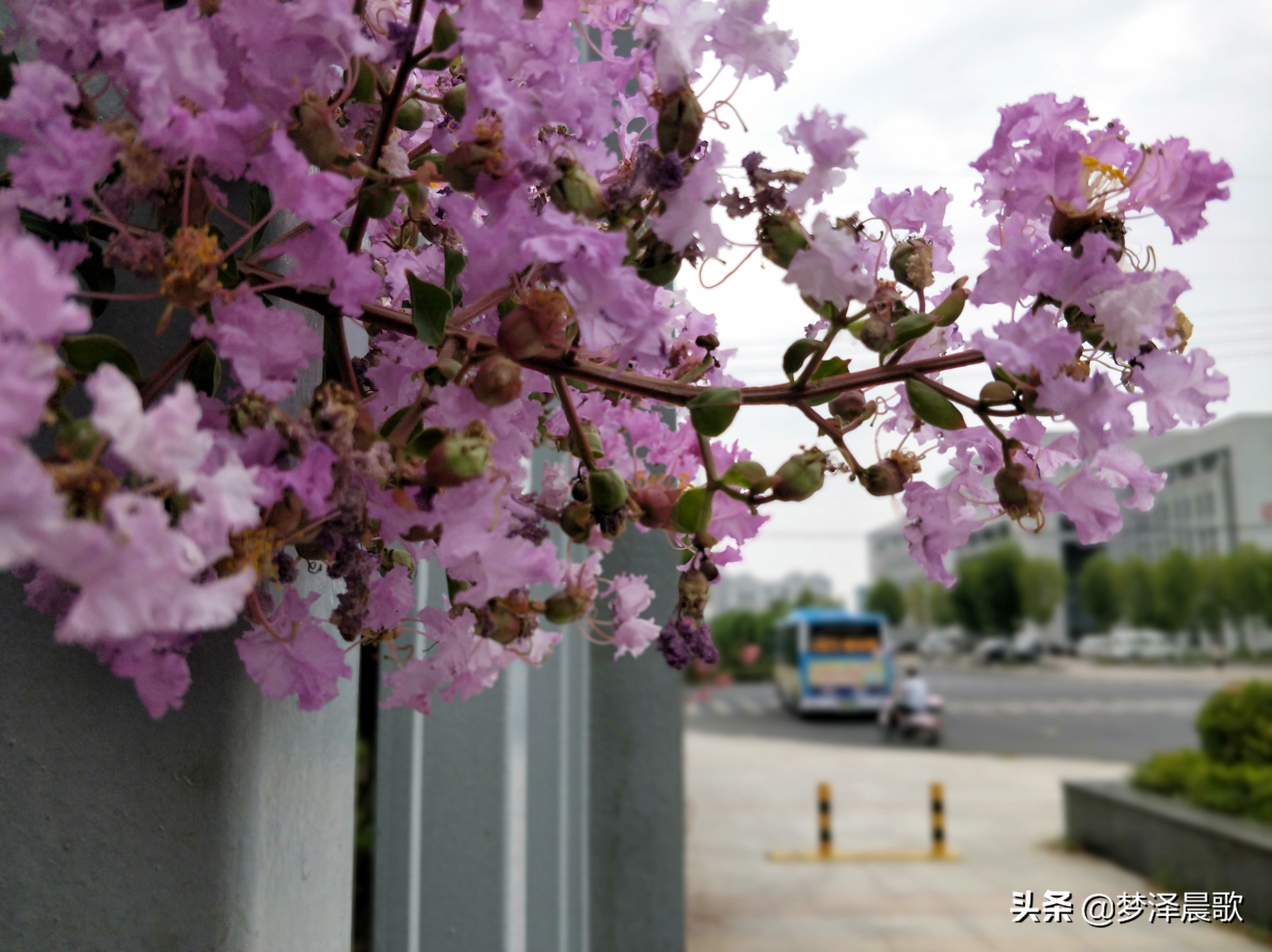 云梦县黄香小学好吗,云梦县黄香小学全貌图