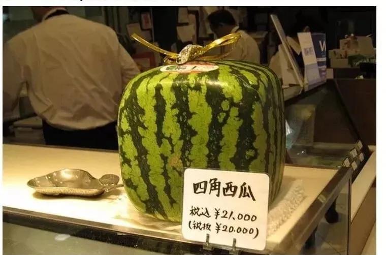 黑莓的分类及危害,黑莓缺点