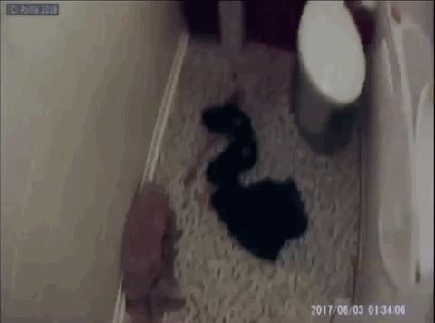 跪榴莲惩罚老公什么意思,家暴跪榴莲完整版