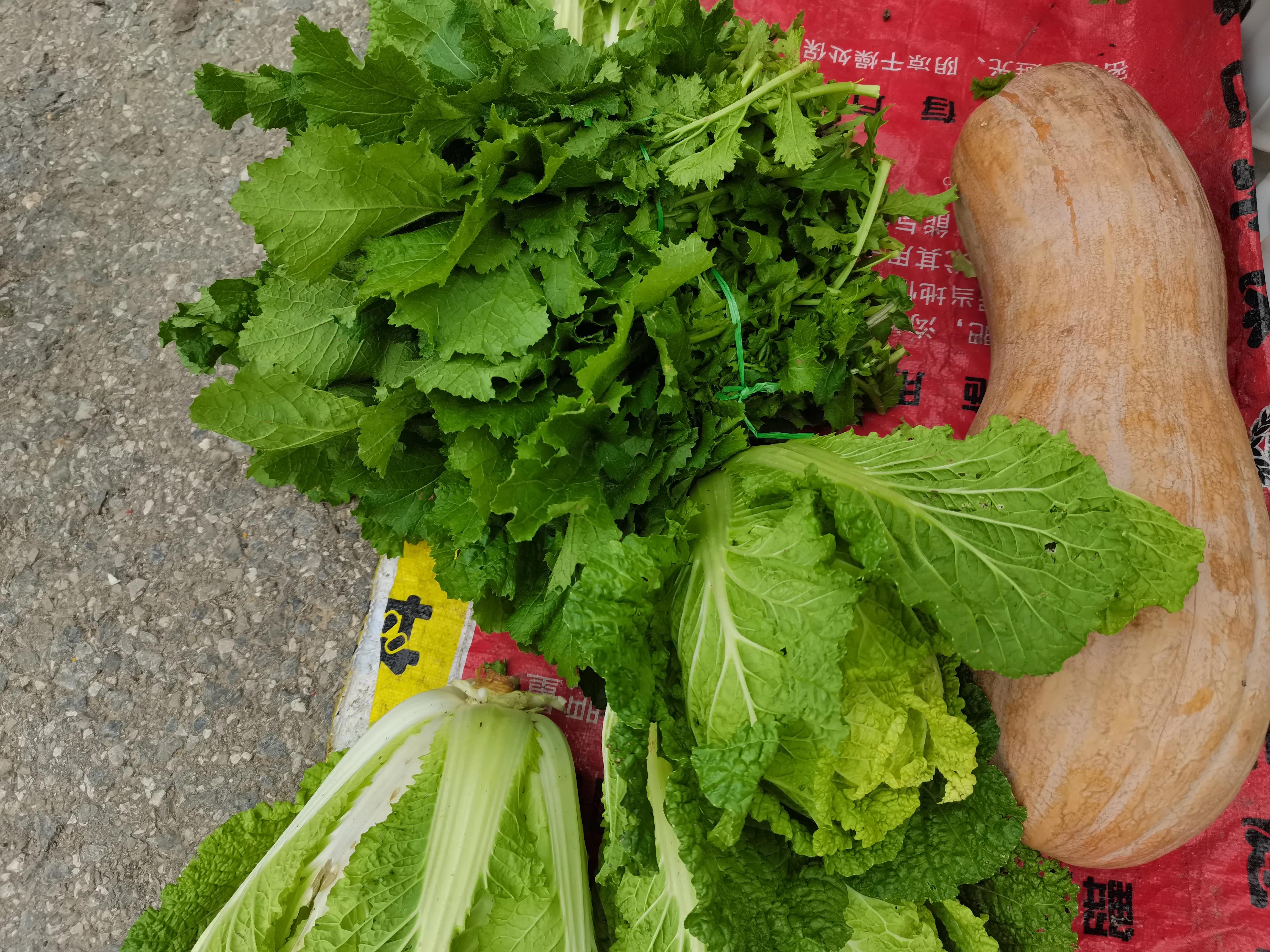 西安洪庆山自驾游路线图,西安洪庆附近旅游景点