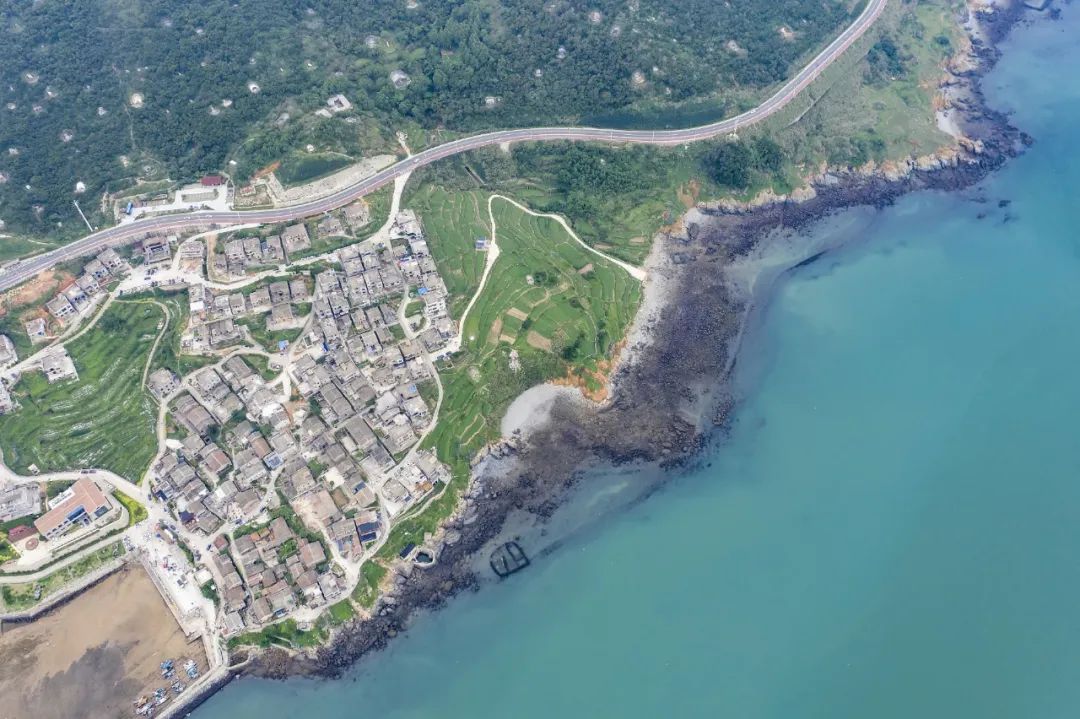 “蓝眼睛”迎来大爆发！现实版“奇幻漂流”，大海已经美成星河