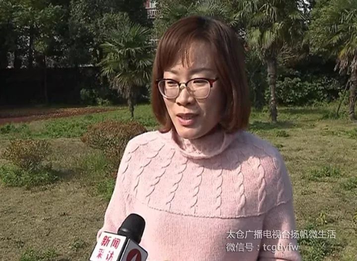 太仓旅游发展现状分析,太仓旅游发展怎么样