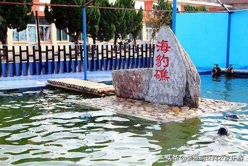 山东高级旅行社游玩攻略,长岛渤海长通旅运有限公司