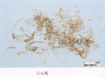 教你怎么辨别真假三七粉,真假三七粉教你三招