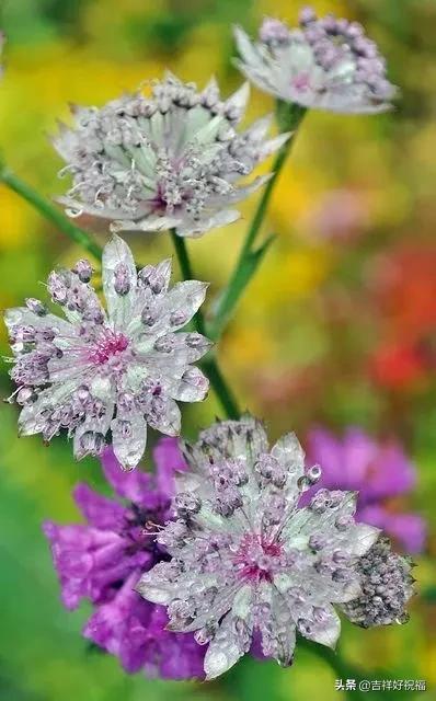 送给群友的美图,最新群相册大全