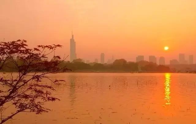 南京的春天,南京的春天视频