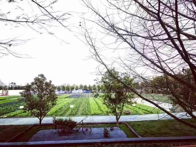 多利成都农庄门票,多利农庄门票