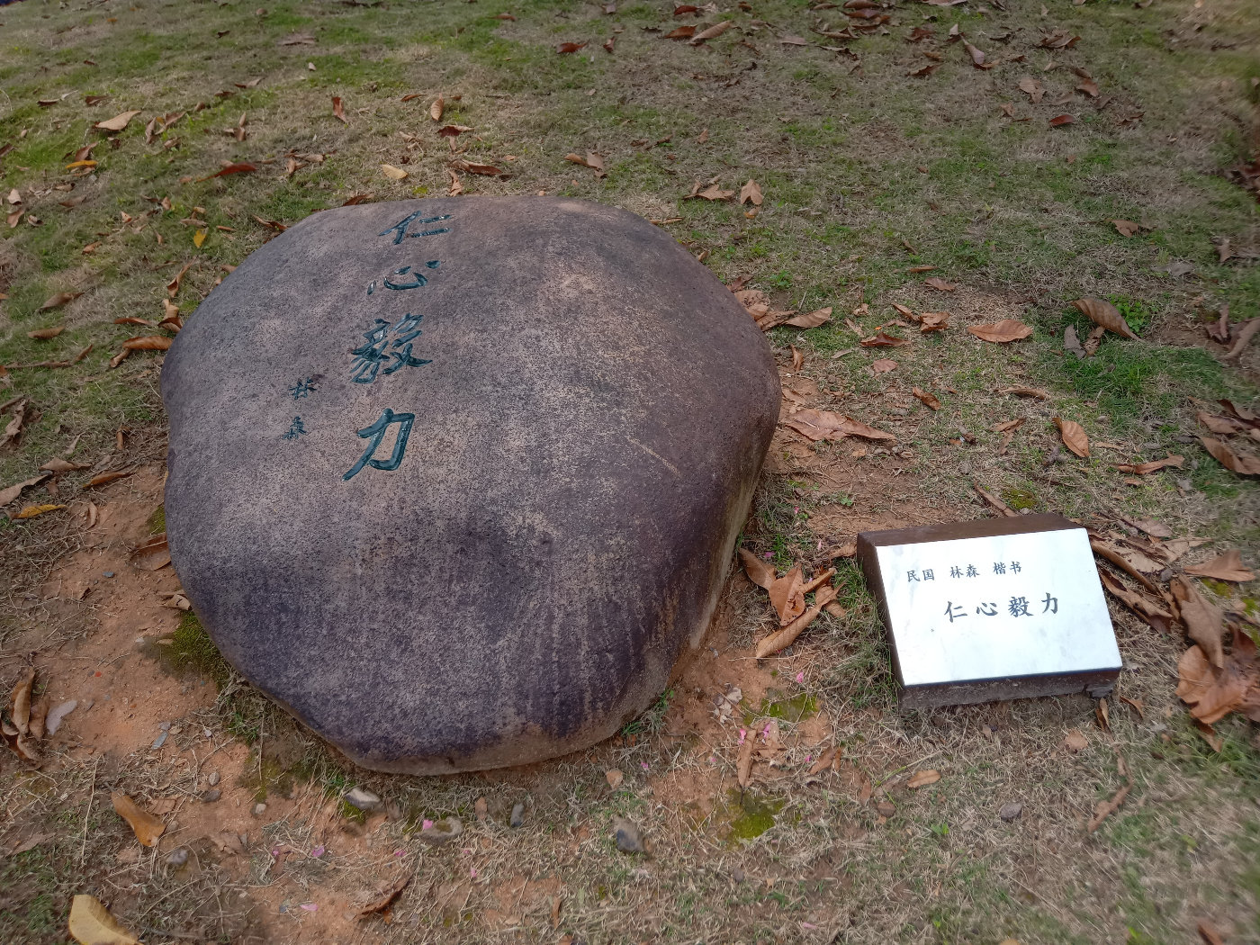 福州大学就像一座大公园，风景美到爆！最美的世界一流学科院校