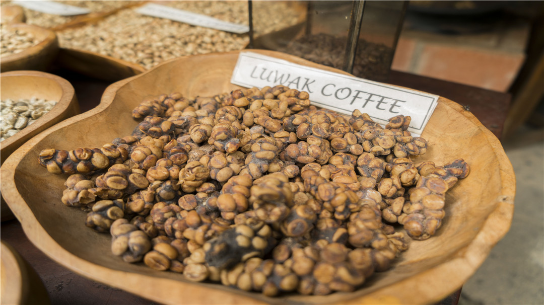 各种咖啡制作区别,最近最火咖啡制作全过程