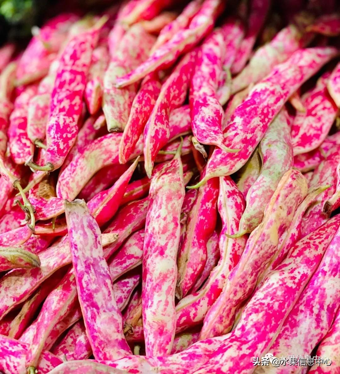 最近卖的比较火的水果店,最近新出来的水果店