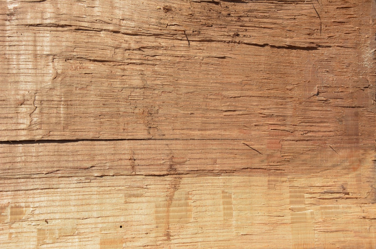 设计师福利模板,设计师必备100件用品