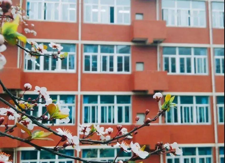 绵阳最牛初中生,绵阳最牛的初中