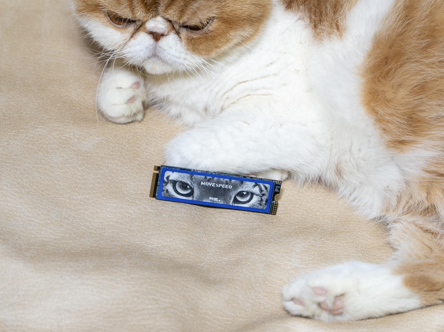 移速美洲豹1t,美洲豹固态买256的还是500的好