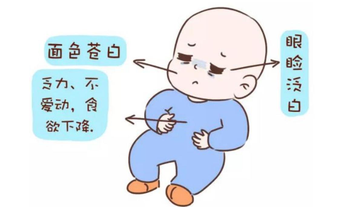 查血常规可以看出缺铁吗,宝宝贫血怎么查是不是缺铁